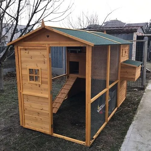 Il Verde Mondo Brahma XXXXL Plus kit pollaio legno con recinto