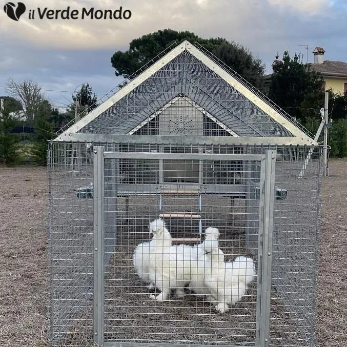 Il Verde Mondo Araucana PLUS pollaio ferro con recinto