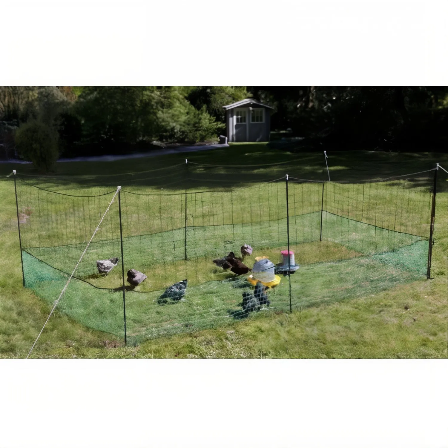 Il Verde Mondo recinto pascolo 12 metri rete per galline