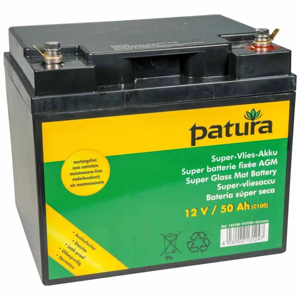 Beikircher AGM 12V batteria ciclo profondo 50Ah recinto