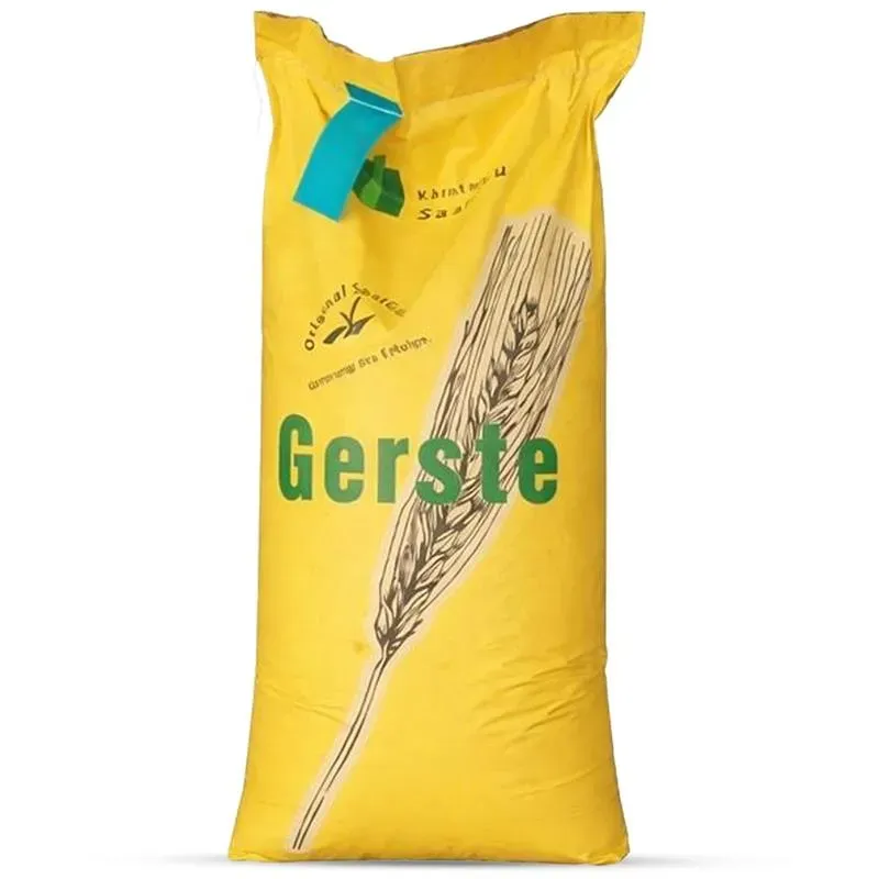 Beikircher Grünland Elena orzo primaverile seme 30 kg convenzionale
