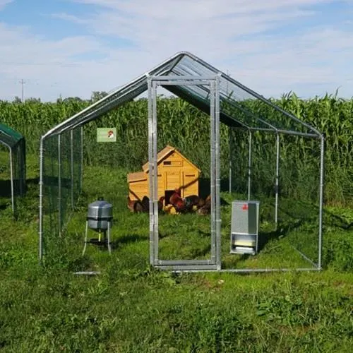 Il Verde Mondo Cocincina Antipredatore Kit Pollaio 2x3 m con Porta