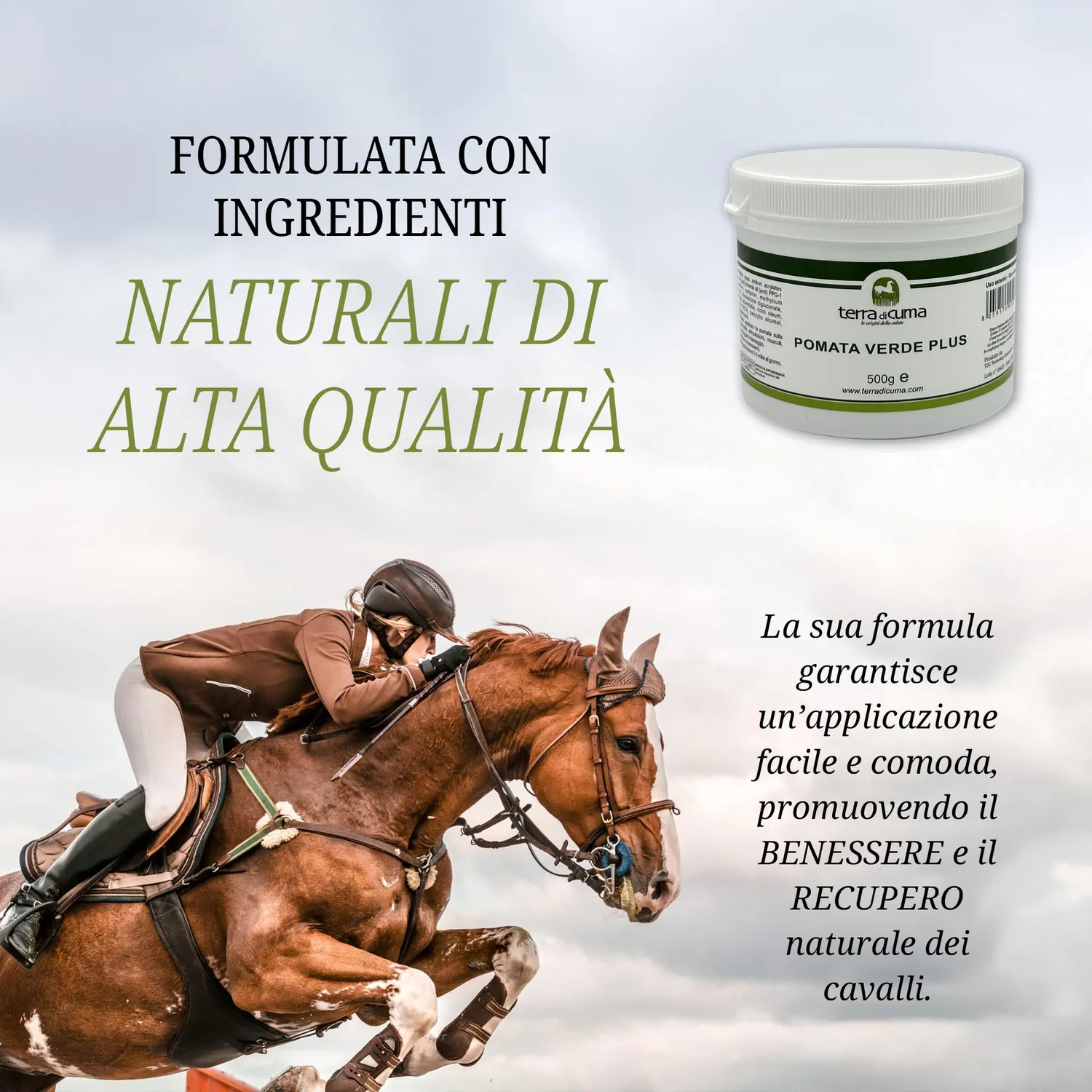 Terra di Cuma Pomata Verde Plus unguento 500 g lenitiva