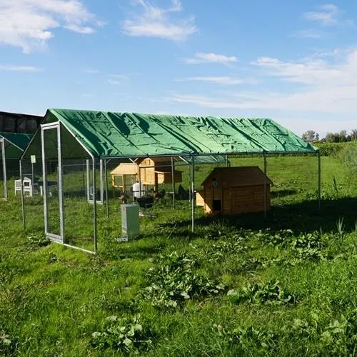 Il Verde Mondo Cocincina Antipredatore Plus kit pollaio 6x3
