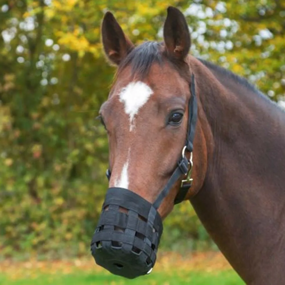 Beikircher Grünland museruola pascolo cavallo full