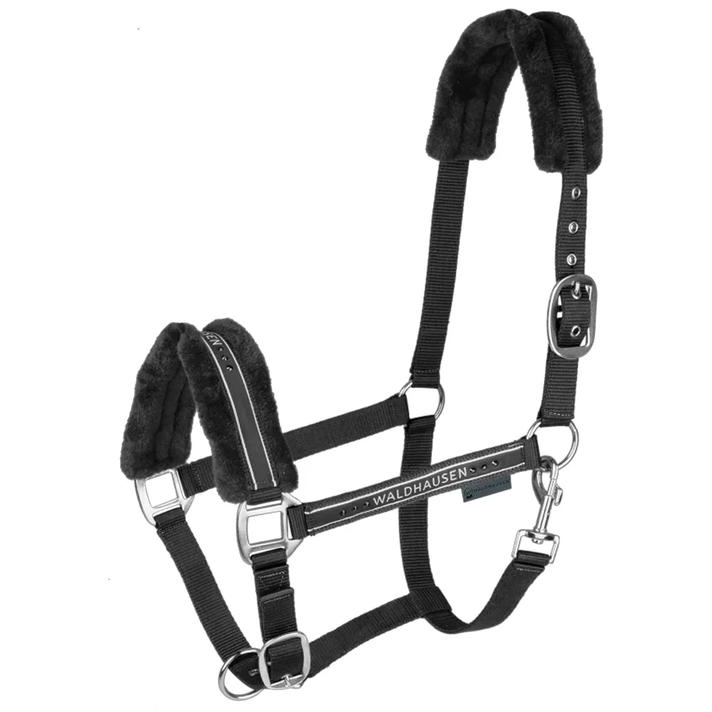 Beikircher Grünland Elegant capezza cavallo glitter imbottita