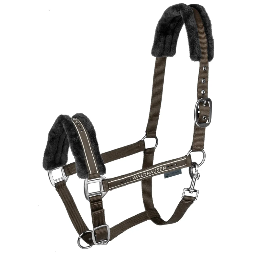 Beikircher Grünland Elegant capezza cavallo glitter imbottita