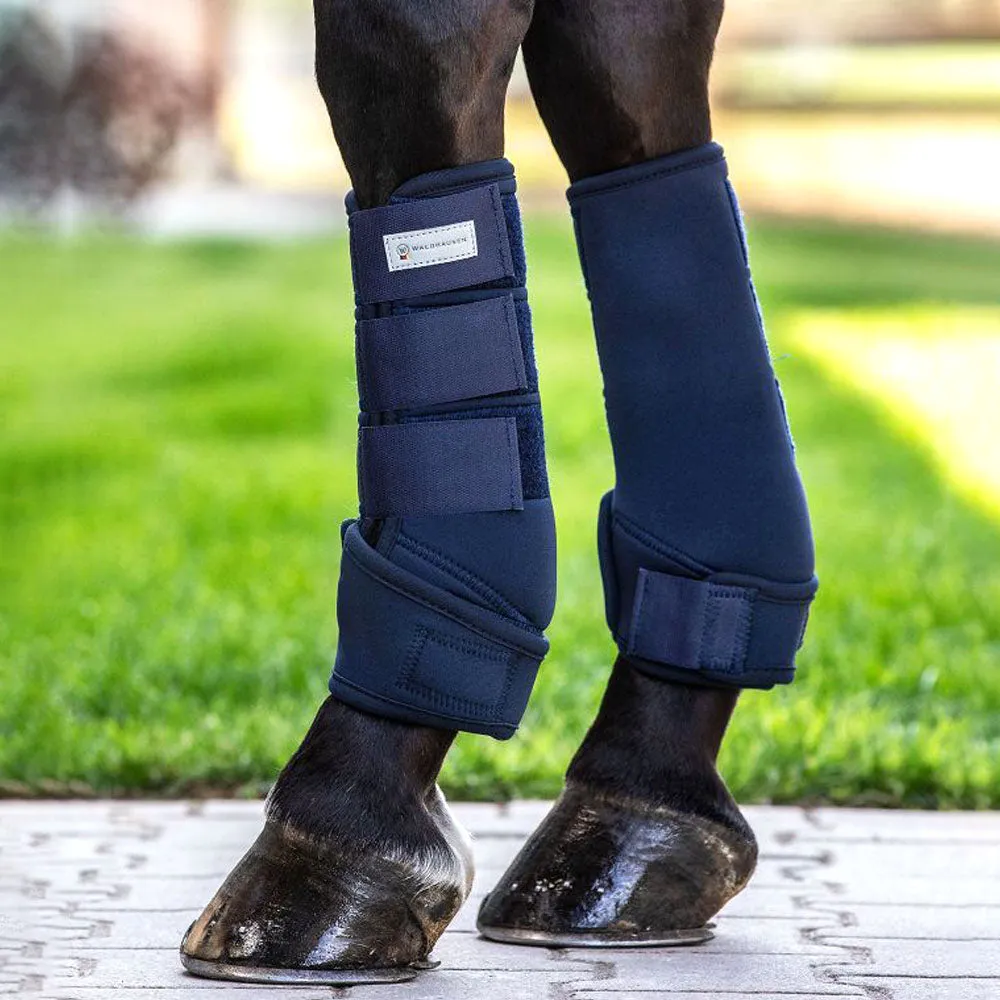 Protect paranocche cavallo blu M ammortizzati velcro