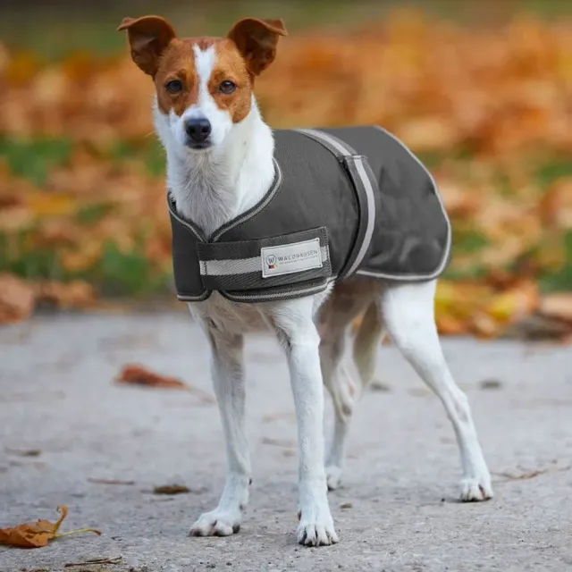 Beikircher Grünland Comfort cappotto cane impermeabile 200g