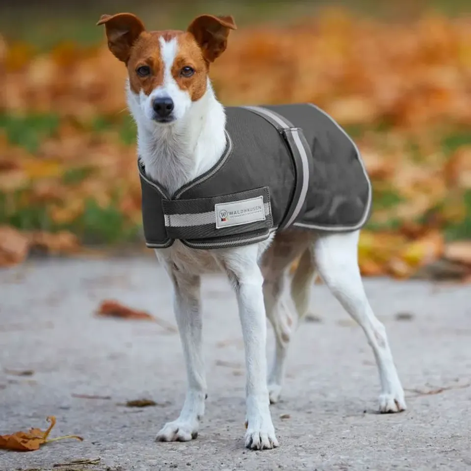 Beikircher Grünland Comfort cappotto cane impermeabile 200g