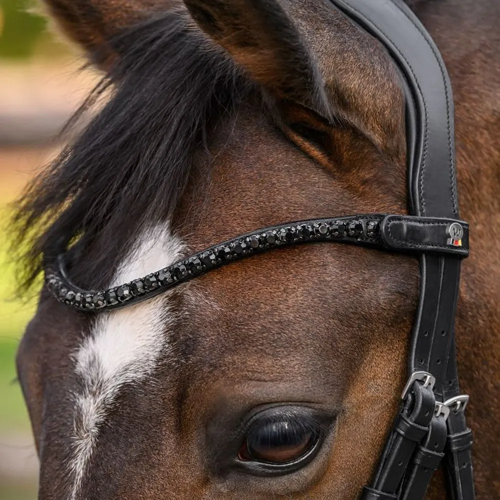 Beikircher Grünland X-Line Shine frontale cavallo nero Cob strass