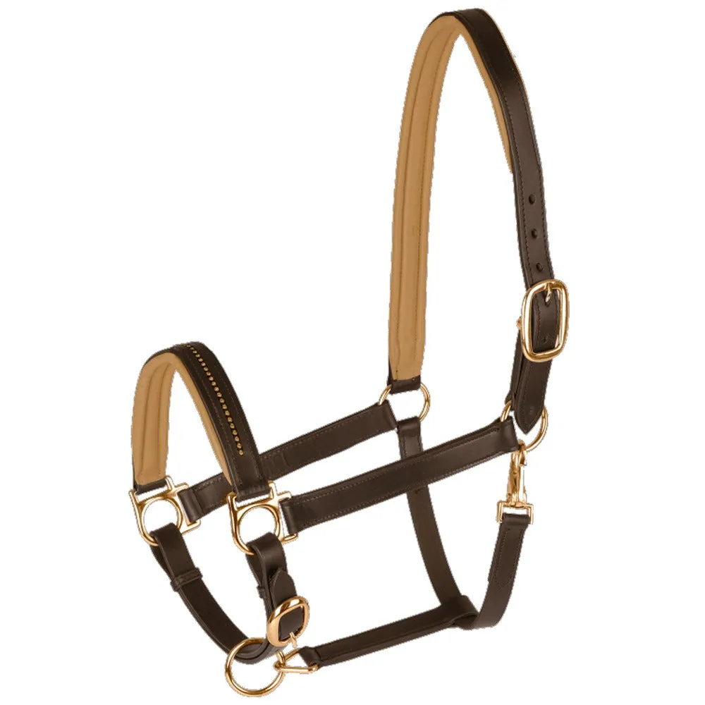 Star Diamond cavezza cuoio nero-argento regolabile Cob