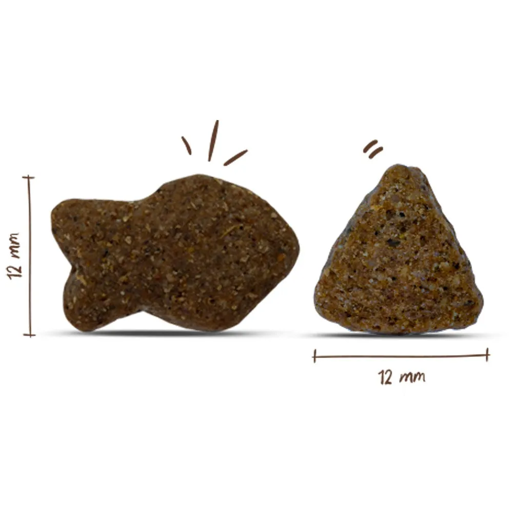 Bosch Adult Fresh crocchette cane salmone patate 1 kg
