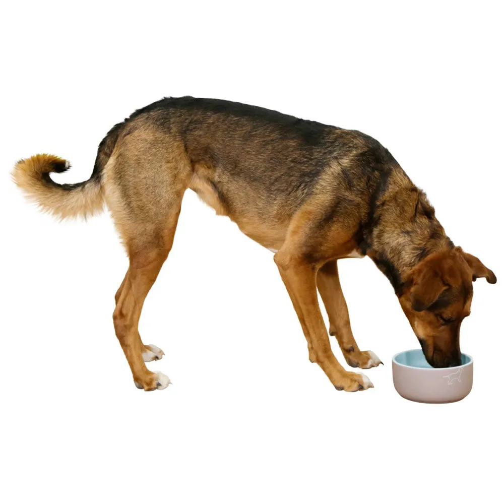 Beikircher Grünland Spirit ciotola cane ceramica fantasia