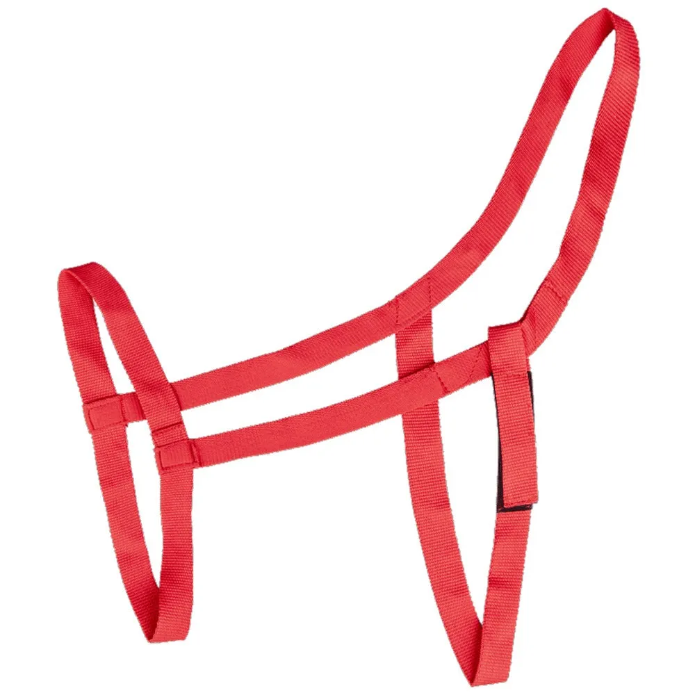 Capezza pascolo cavallo sicurezza strappo velcro