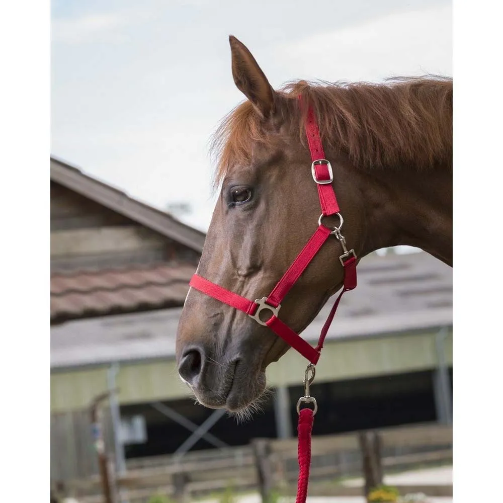 Beikircher Classic Cavezza Cavallo Nylon Doppia Treccia