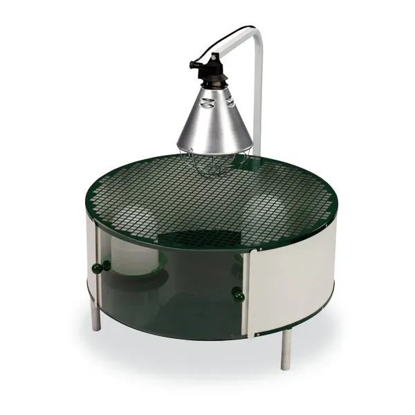 Il Verde Mondo pulcinaia circolare 10-30 pulcini