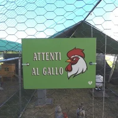 Il Verde Mondo Targhetta Pollaio Attenti al Gallo decorativa