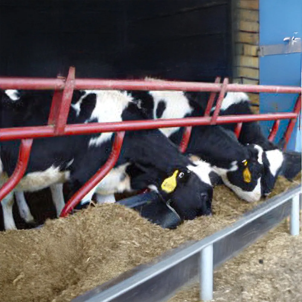 Beikircher Grünland TMR Unifeed Vitelli alta digeribilità