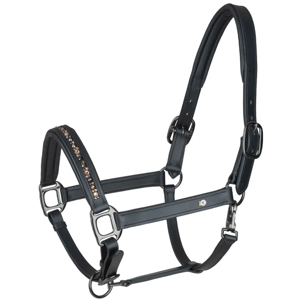 X-Line Crystal cavezza cuoio marrone Full strass concorso