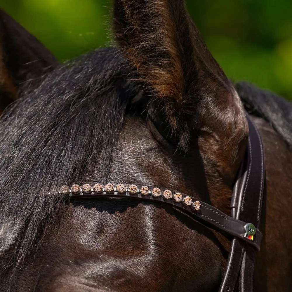 Waldhausen X-Line Glam Frontalino Marrone Strass Cob