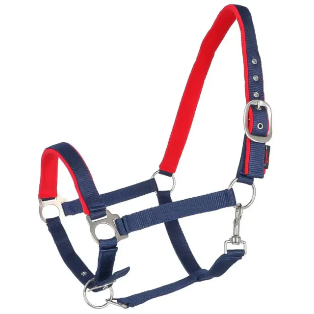 Dexter Capezza Cavallo Cob Morbida con Sottopelo Pile