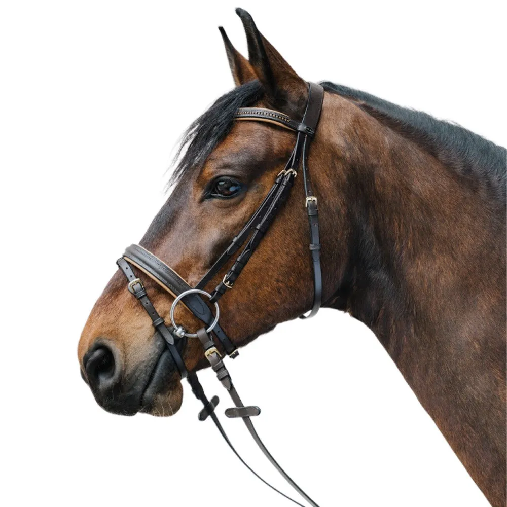 Star Diamond briglia cavallo strass marrone