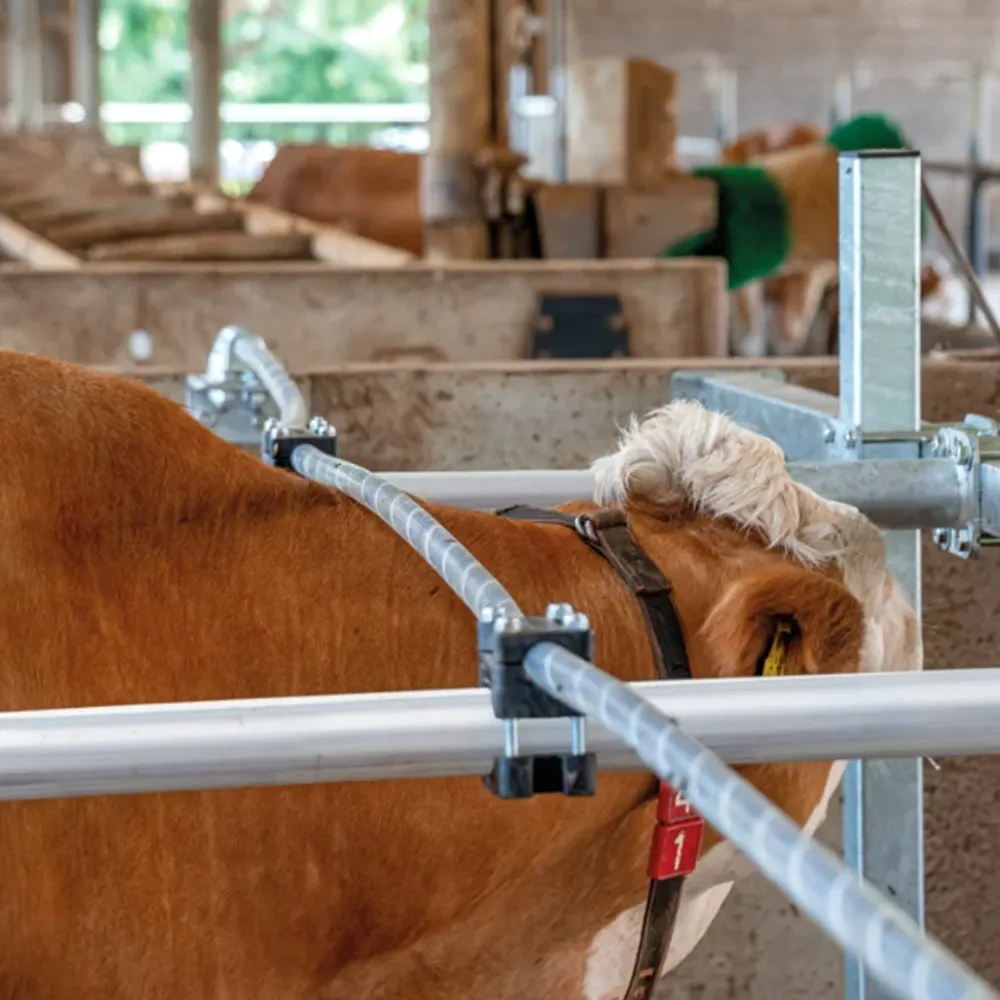 Beikircher Grünland Separatore Mangiatoia Bovini Collo Flessibile