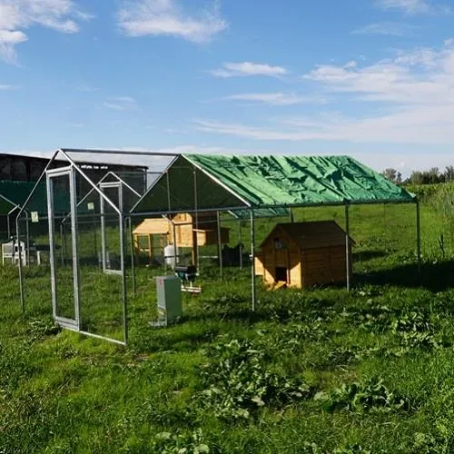 Il Verde Mondo Cocincina Plus XXXL kit pollaio 4x3 antipredatore
