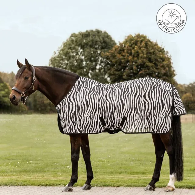 Coperta antimosche zebra per cavalli traspirante con pettorale