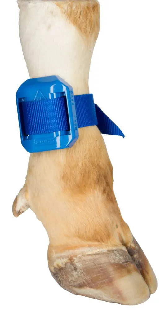 Beikircher Grünland cinturino caviglia podometro blu 40 cm