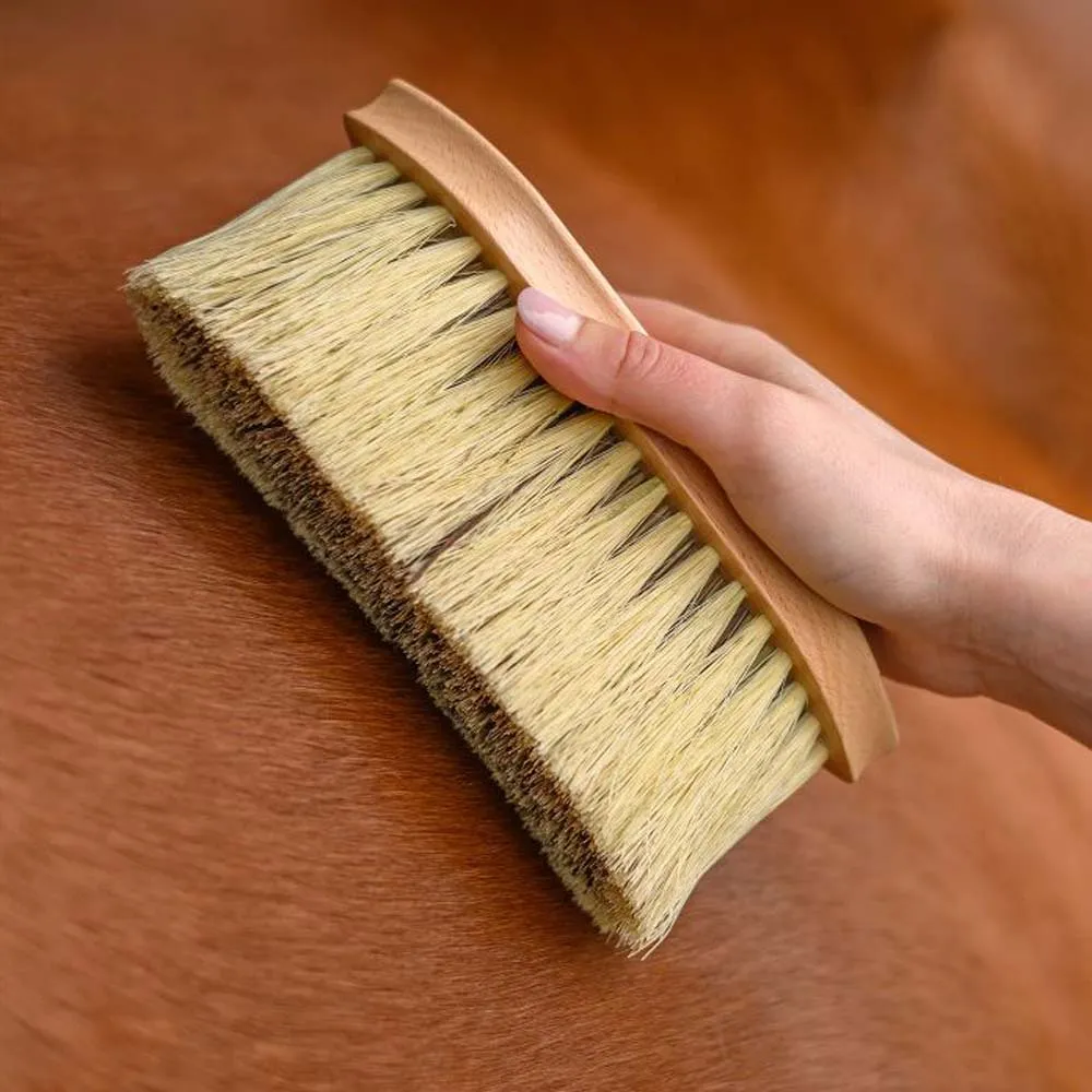 Beikircher Grünland Exclusive Line spazzola cavallo pelo duro