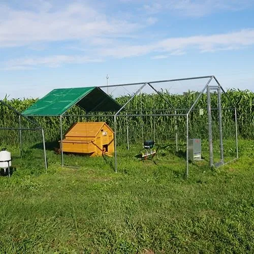Il Verde Mondo Cocincina Plus kit pollaio 2x3 15 galline