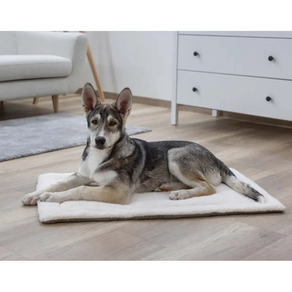 Cleo cuscino branda cane gatto morbido 58x36 e 84x51