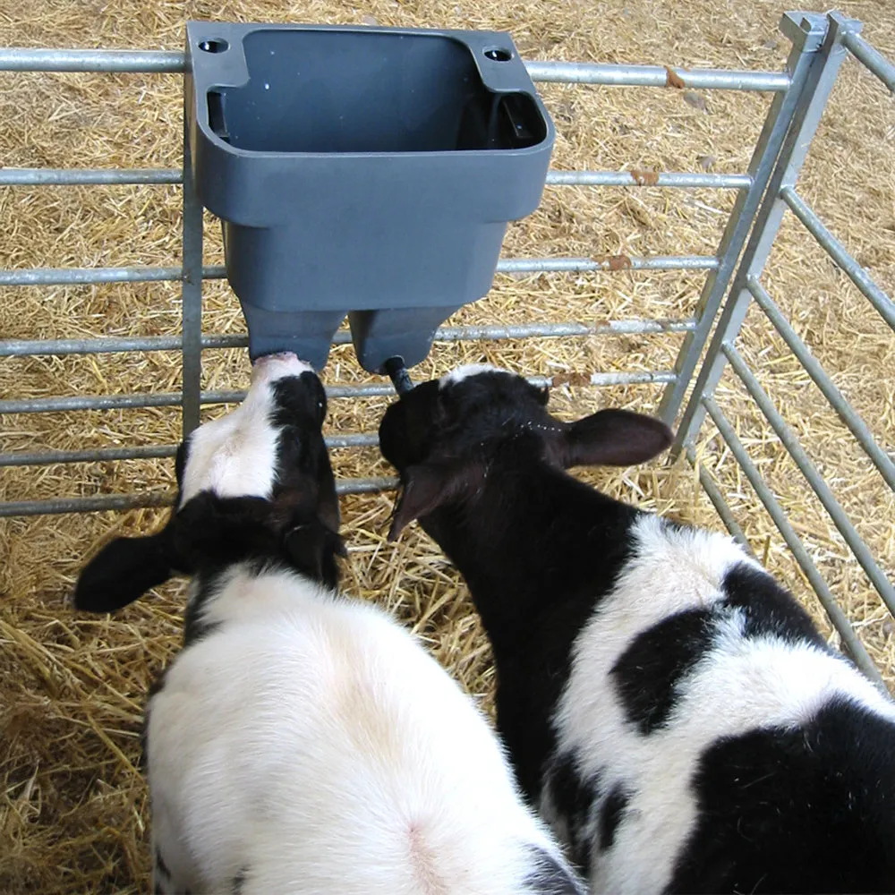 Milkbar abbeveratoio vitelli 1 tettarella svezzamento