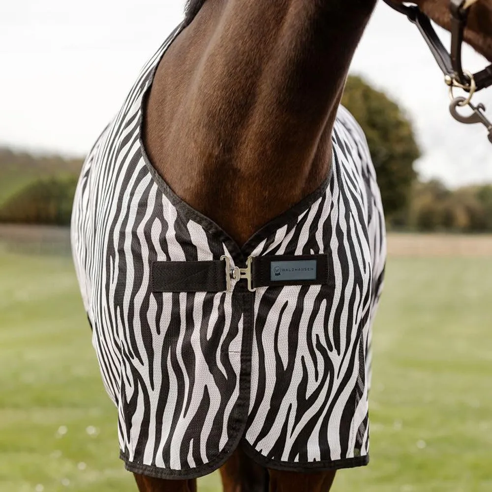 Coperta antimosche zebra per cavalli traspirante con pettorale