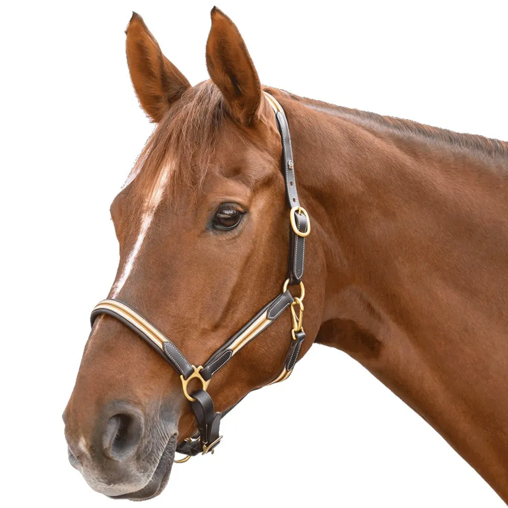 Oxford Capezza cuoio cavallo Full marrone/beige sportiva