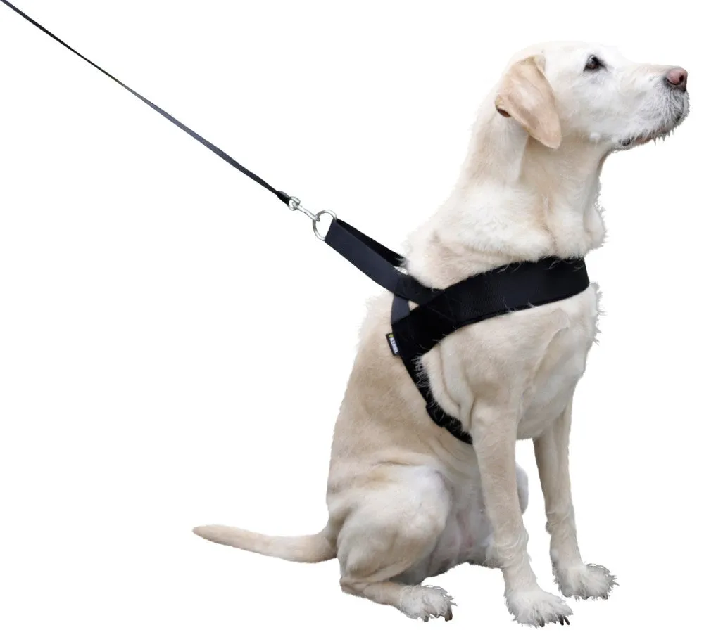 Beikircher Miami Plus pettorina cane 60x75cm nera idrorepellente