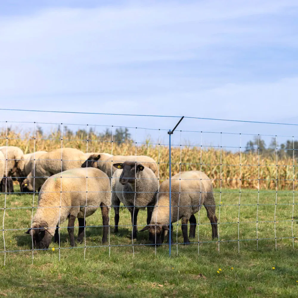 Beikircher Grünland WolfStop rete pascolo 10 pezzi anti lupo