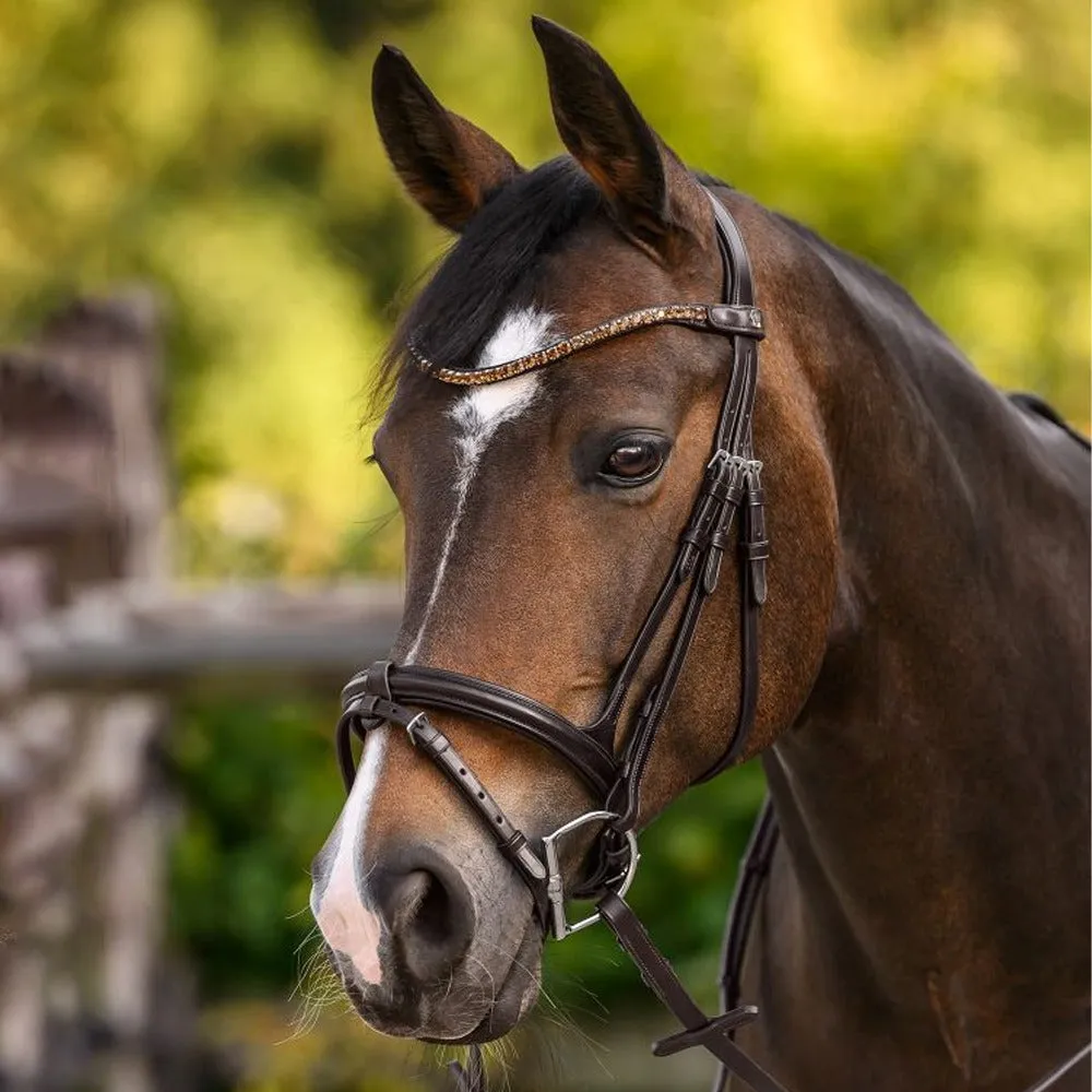 Waldhausen X-Line Shine frontalino marrone cob con strass