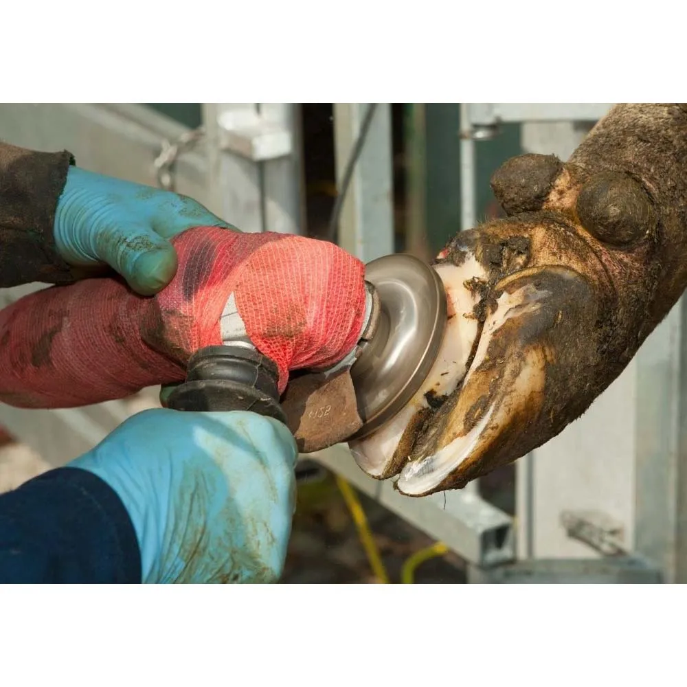 IP Philipsen Super Hoof 115 mm disco abrasivo zoccoli e corna