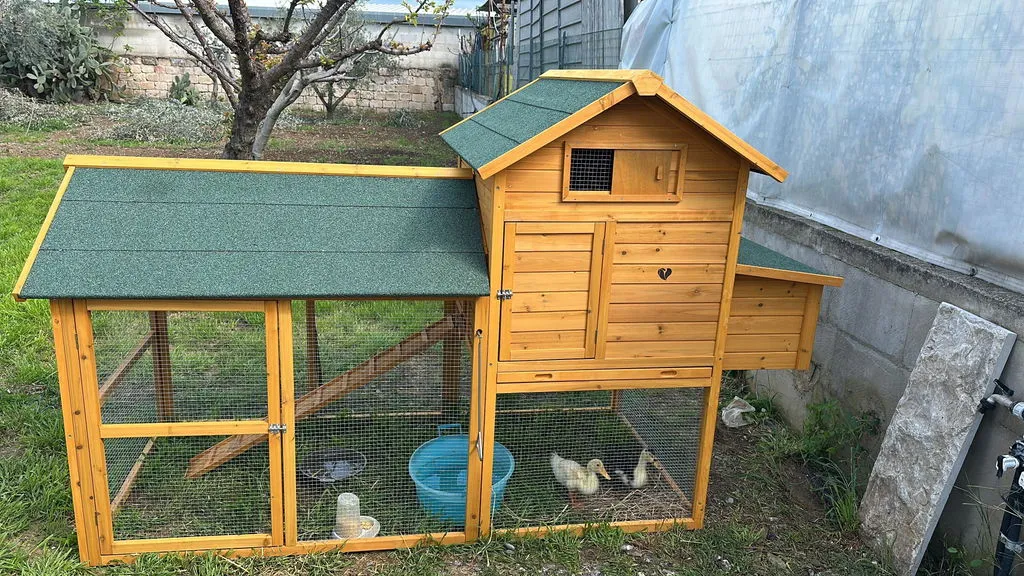 Il Verde Mondo Padovana XXL Pollaio Legno 6-8 Galline