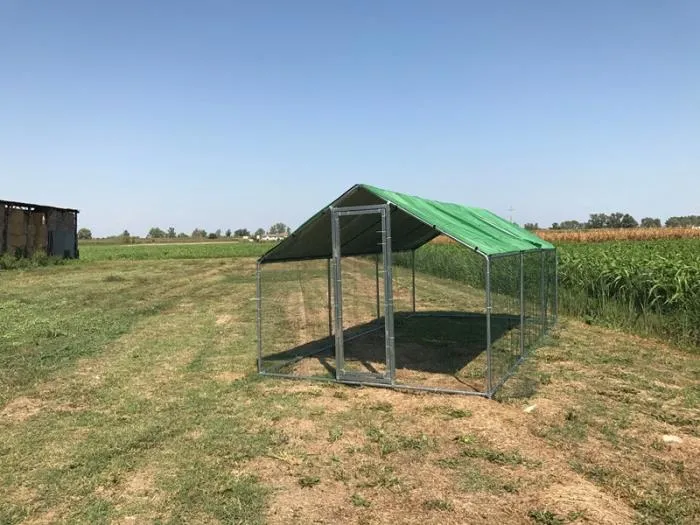 Il Verde Mondo Recinto XL 6x3 per Galline con telo copertura