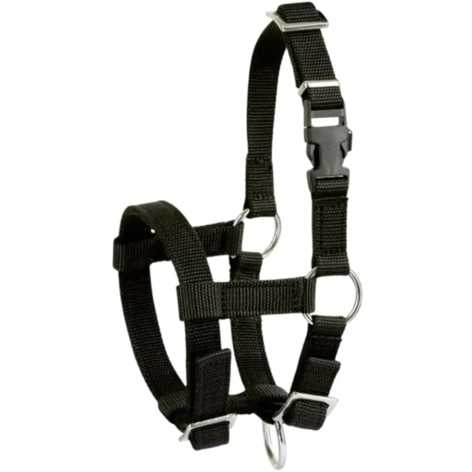 Beikircher Alpaca Capezza per Alpaca Regolabile Taglia M