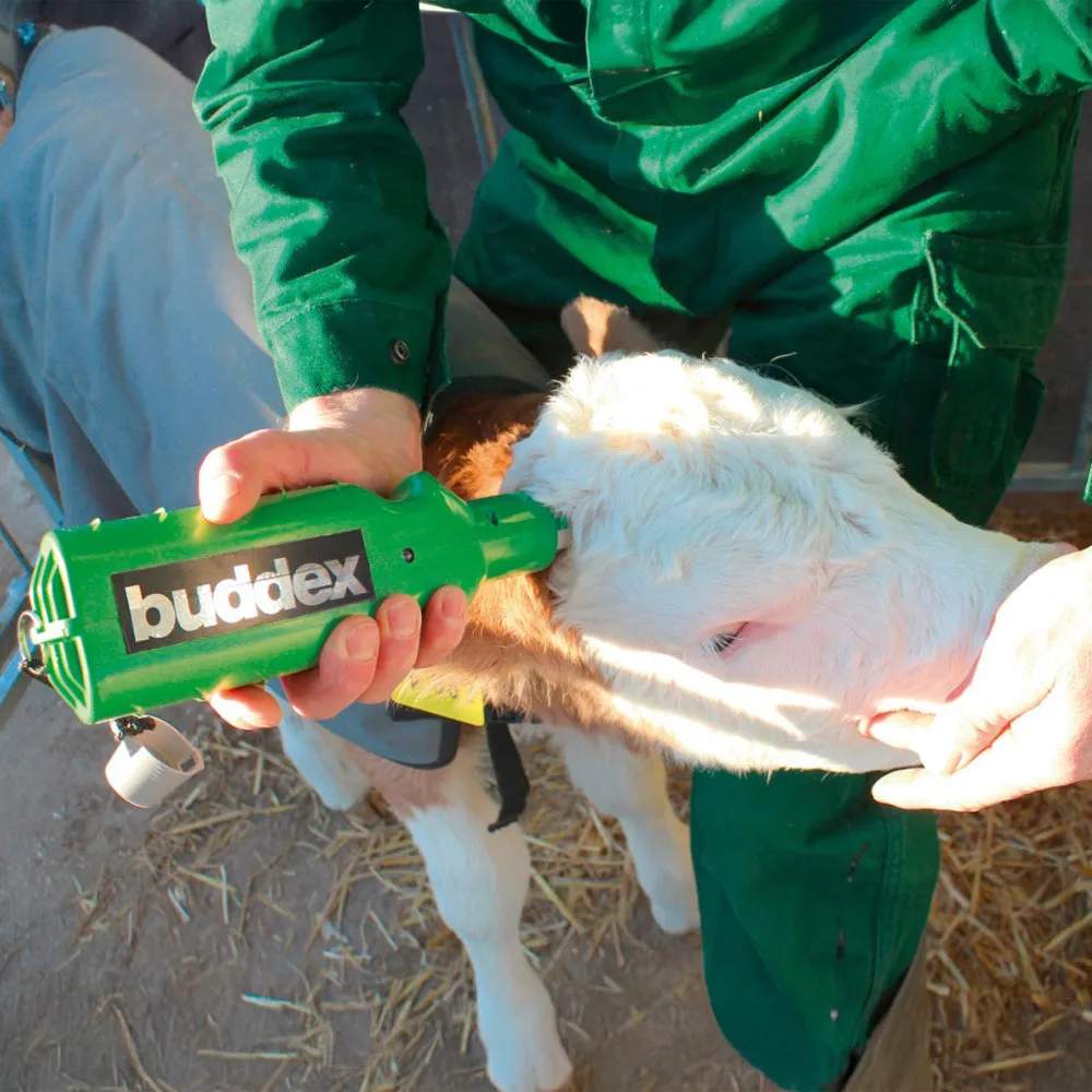 Buddex decornatore elettrico ricaricabile vitelli 700°C