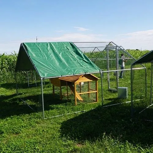 Il Verde Mondo Padovana Kit Pollaio 2x4 m Recinto e Accessori