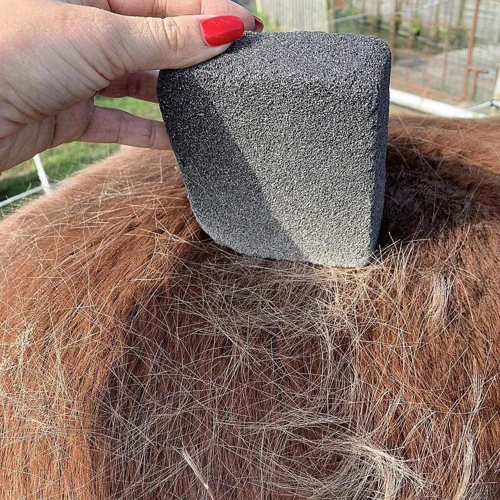 Beikircher Grünland pietra pomice cavallo toelettatura 10 cm