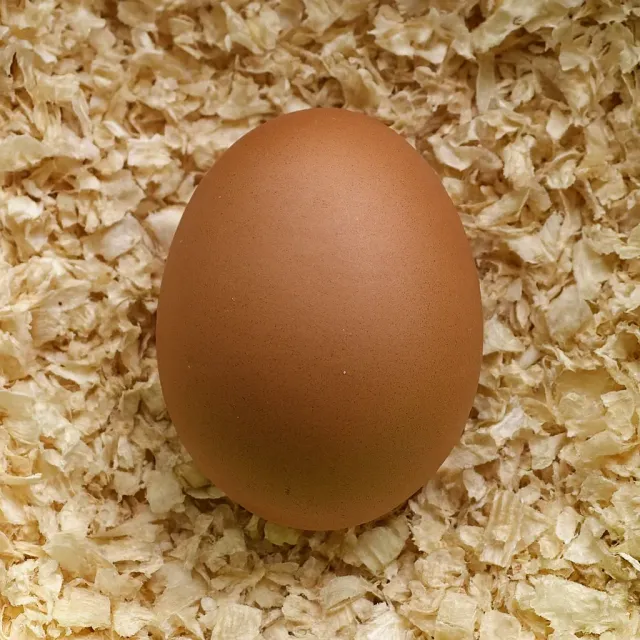 Il Verde Mondo Uovo Finto Gallina Ceramica Crema 35 g
