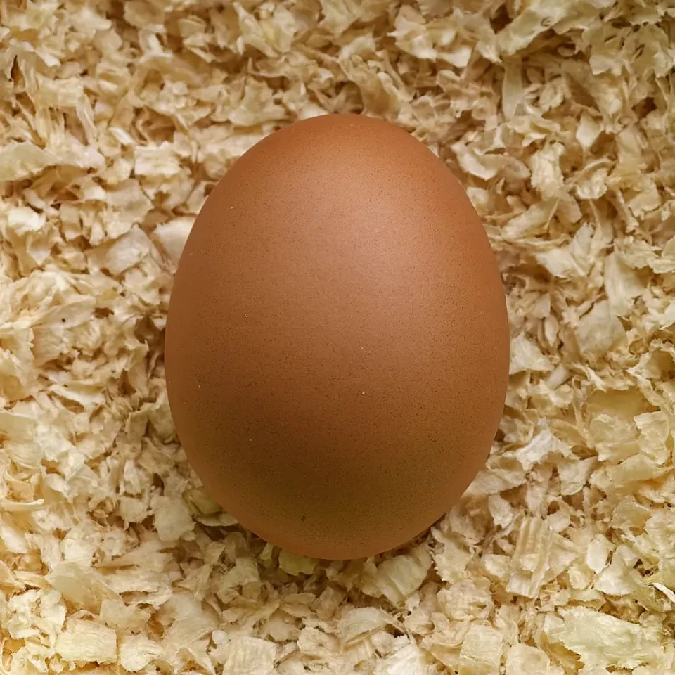 Il Verde Mondo Uovo Finto Gallina Ceramica Crema 35 g