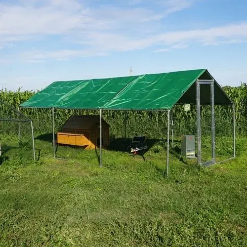 Il Verde Mondo Cocincina Antipredatore Plus kit pollaio 6x3